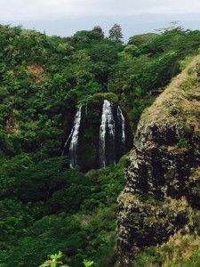 Kauai - Opaekaa Falls