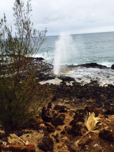 Kauai - spouting horn