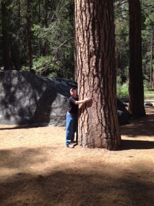 Steve hugging a tree