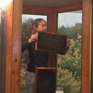 A beekeeper. In a cage. With hundreds of buzzing bees.