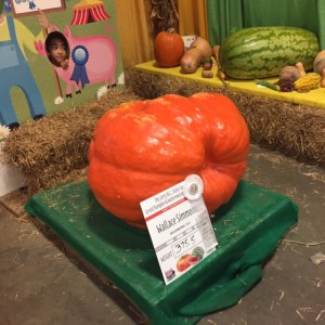 giant pumpkin