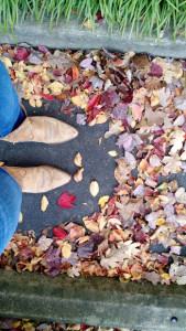 colorful fall leaves in Duluth, GA