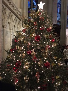 Christmas tree at St. Patrick's Cathedral.