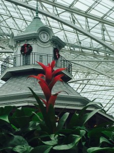 Opryland Hotel - bromeliad and clock