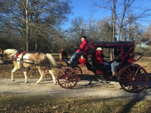 Complimentary carriage rides for guests.