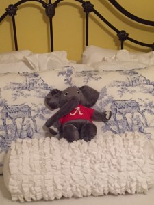 A stuffed Big Al was waiting on my pillow. 