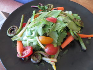 A colorful salad with fiddlehead ferns