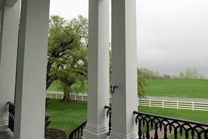 View from the upper porch looking toward the river.