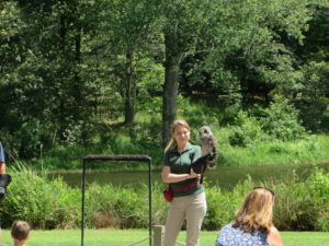 Birds of Prey Show at the Discovery Center.