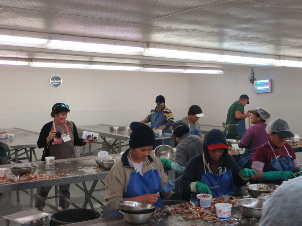 Hard at work prying meat out of crab shells.