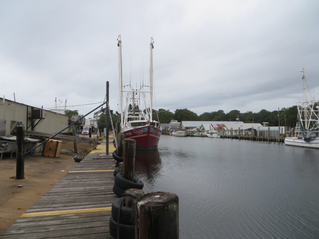 A shrimp boat hugging the dock at Graham Shrimp Company.