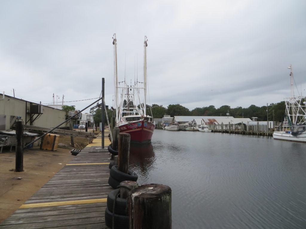 A shrimp boat hugging the dock at Graham Shrimp Company.