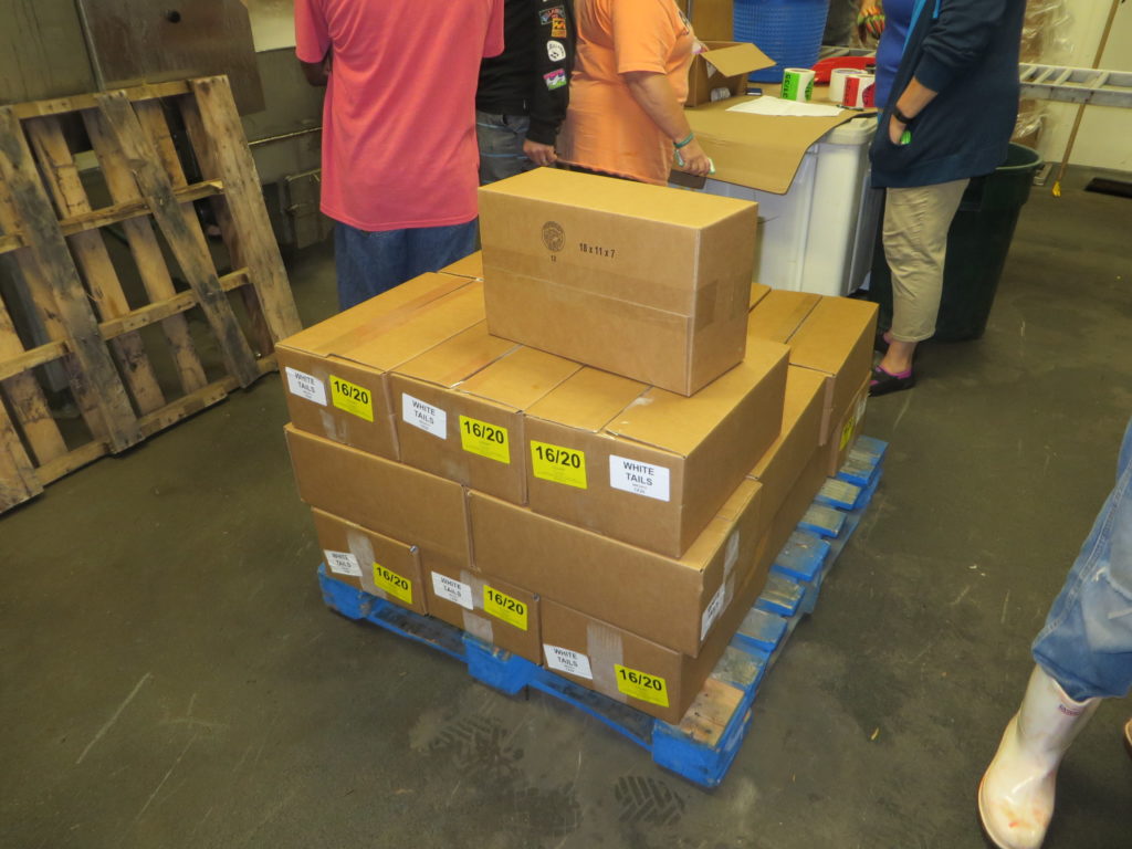 These boxes are labeled and ready.